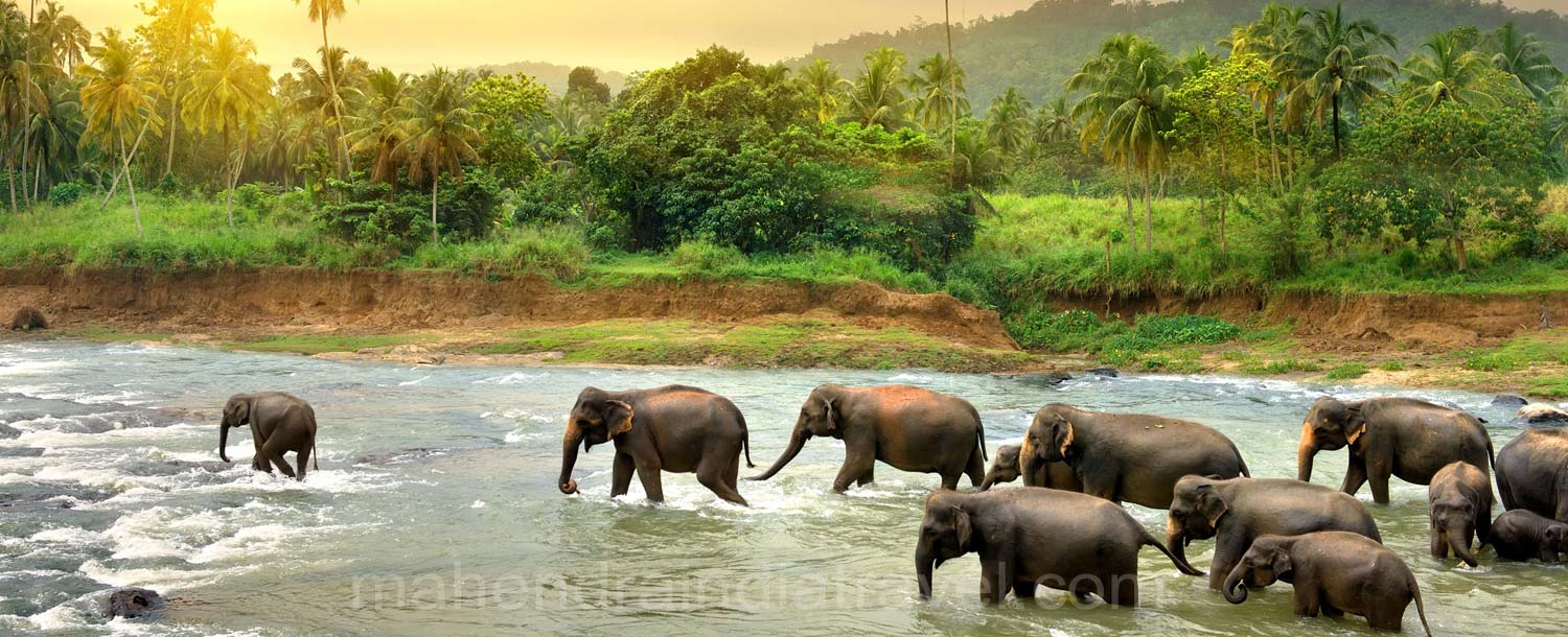 Mahendra India Travel