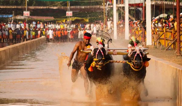 hampi festivals